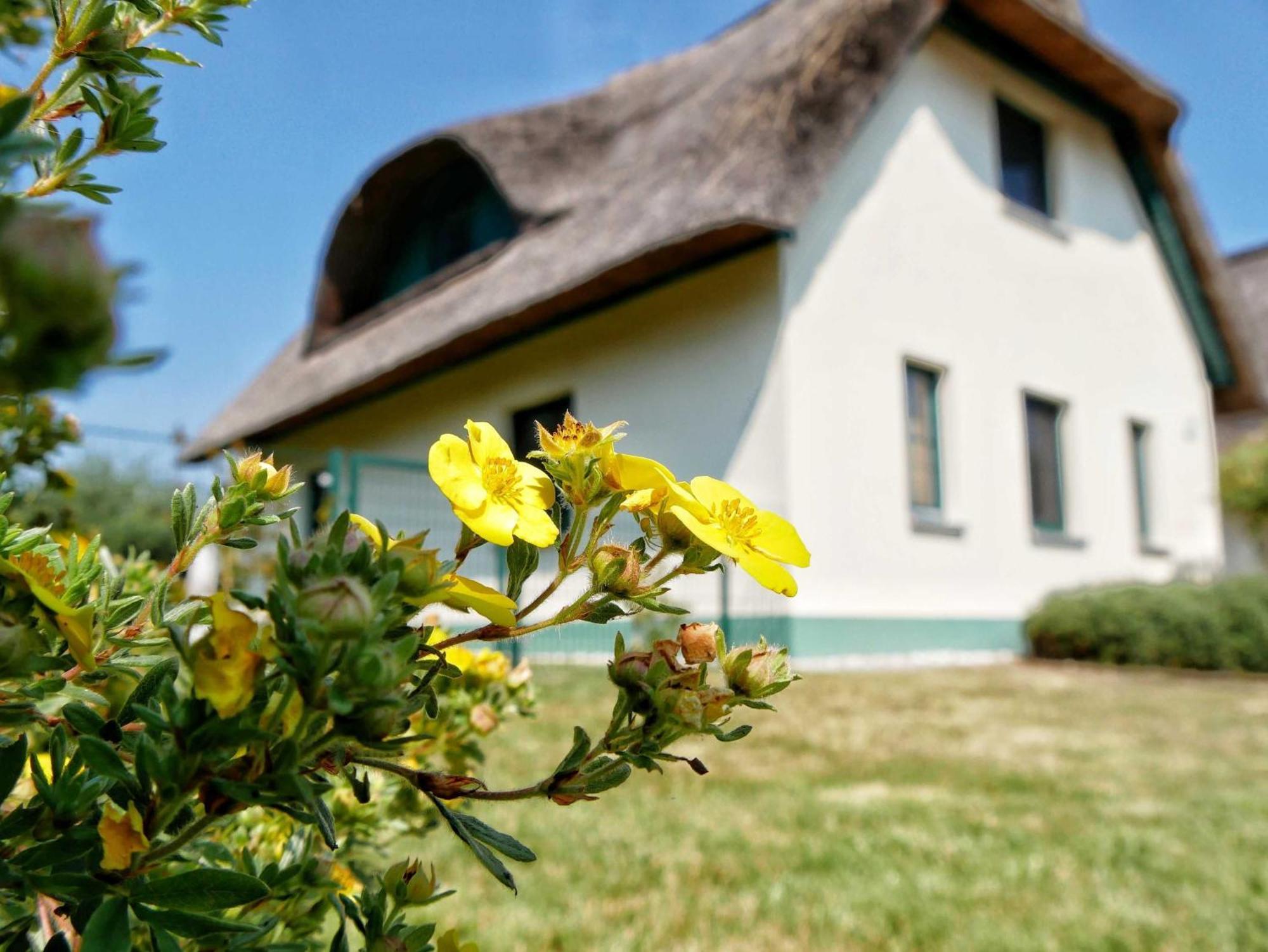 Ferienpark Scharmuetzelsee Wendisch Rietz Bagian luar foto
